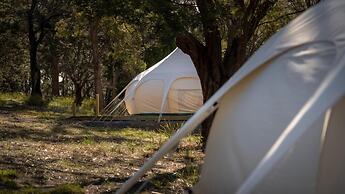 Spring Bay Eco Resort