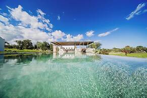 TD Trullo Yume Whispering Olive Grove