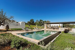 TD Trullo Yume Whispering Olive Grove