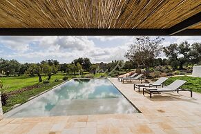 TD Trullo Yume Whispering Olive Grove