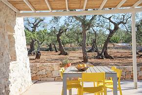 TD Trulli Albapetra Pool & Olive Trees