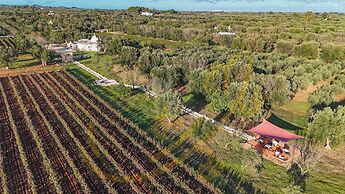 TD Trullo Titiro Vineyard, Wine Cellar & Pool