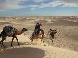 Campement Sahara Oasis Douz