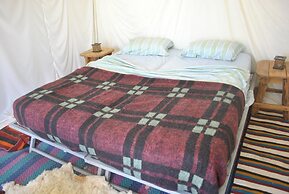 Campement Sahara Oasis Douz