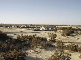 Campement Sahara Oasis Douz