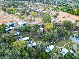 Alya Hill Bodrum