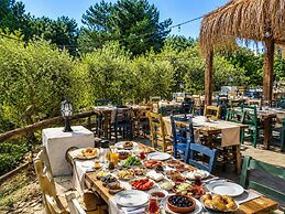 Alya Hill Bodrum