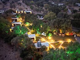 Alya Hill Bodrum