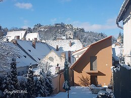 StayNATURAL Brasov Center