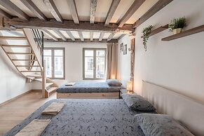 Spacious 11-person Stay in Antwerp