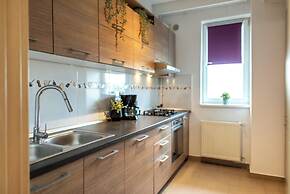 Comfortable Apartments in Baneasa