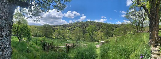 The Village