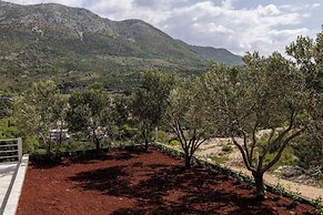 Apartments Villa Olea Solis