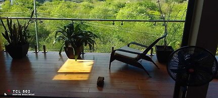 Wayne's Amazing Villa 3