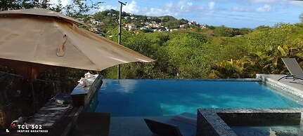 Wayne's Amazing Villa 3