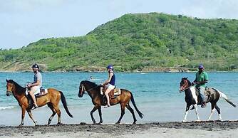 Vigie Beach Premium