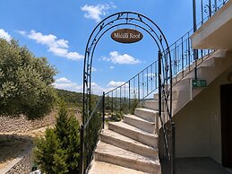 LITHOS ASSOS
