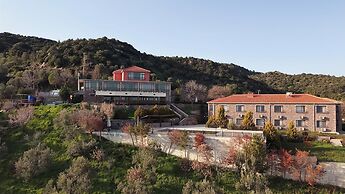 LITHOS ASSOS
