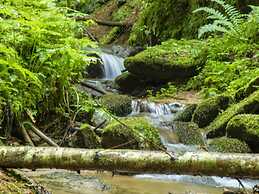 Hikers Paradise With Wellness Area