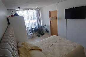 executive room Leo