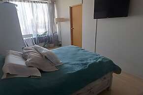 executive room Leo
