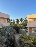 Proyecto Palmita