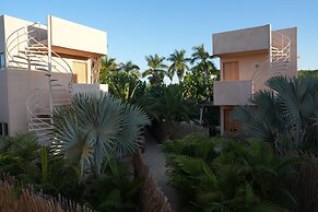 Proyecto Palmita