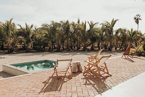 Proyecto Palmita