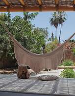 Proyecto Palmita
