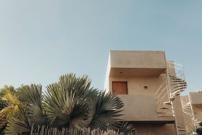 Proyecto Palmita
