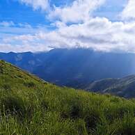 Adventure trails