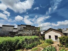 Wild Gaze Ancient Tea Sanctuary