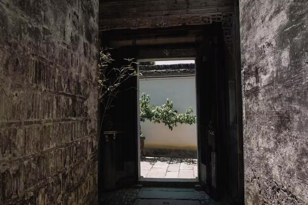 Wild Gaze Ancient Tea Sanctuary