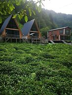 MARİPOSA BUNGALOV