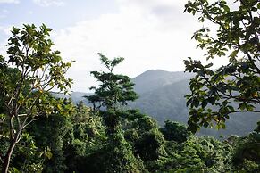 Rainforest Retreat Pool W Stunning Views