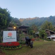 Camelliana Horizon Pongyang