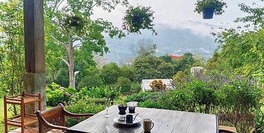 Camelliana Horizon Pongyang