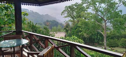 Camelliana Horizon Pongyang