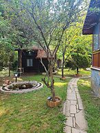 Agva Tartaruga Motel