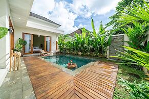 Dasha 2 Villa