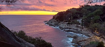 Apartnment Fanals. Lloret de mar