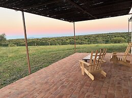 Herdade dos Calvinos Monte 2