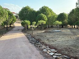 Herdade dos Calvinos Monte 2