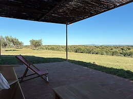 Herdade dos Calvinos Monte 2