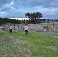 Herdade dos Calvinos Monte 2