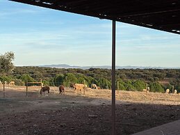 Herdade dos Calvinos Monte 2