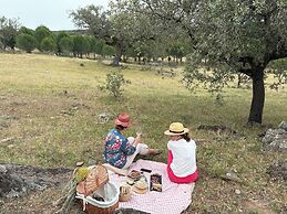 Herdade dos Calvinos Monte 2
