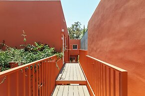 Luis Pasteur By Homirent
