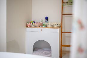 Chuncheon Happysday Pet-friendly Pension