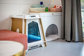 Chuncheon Happysday Pet-friendly Pension